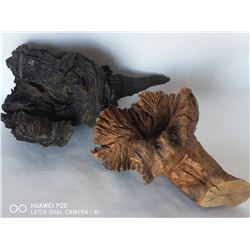 "NATURE'S WAY" LAQUORED DRIFTWOOD PIECES.