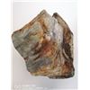 Image 1 : PETRIFIED WOOD FROM A COAL MINE HINTON ALBERTA