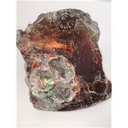 PURPLE AMMONITE FOSSIL 8" X 7" X 3"