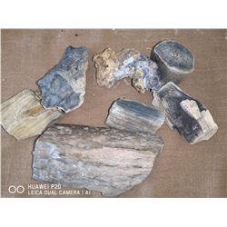 LOT OF PETRIFIED WOOD AND BONE