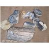 Image 1 : LOT OF PETRIFIED WOOD AND BONE
