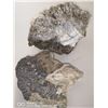 Image 2 : LARGE LOT OF VARIOUS ROCKS AND GEODES