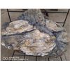 Image 1 : PETRIFIED WOOD FROM A COAL MINE HINTON ALBERTA