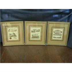 Three hand colored copper plate engravings #1181006