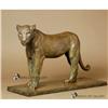 Image 1 : FABULOUS RARE REMBRANDT BUGATTI LIONESS OF #1194403