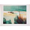 Image 1 : Claude Gaveau, Camargue, Signed Lithograph #1194540