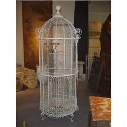 French Birdcage #1194651