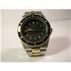 Image 1 : PERFECT PULSAR LADIES DIVER'S STYLE WATCH #1181813