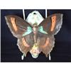 Image 1 : UNUSUAL BUTTERFLY WALL POCKET c 1900 #1182004