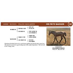 MR Fritz Badger