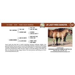 JS Last Miss Dakota