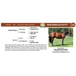 Einsteins Ichi Kitty