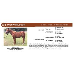 Lucky Girls Gun