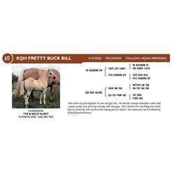 KQH Pretty Buck Bill