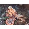 Image 2 : Dragan Malesevic Tapi 1949-2002Serbian Signed Seri
