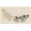 Image 3 : Jin Yong Chinese Ink and Watercolor Butterflies