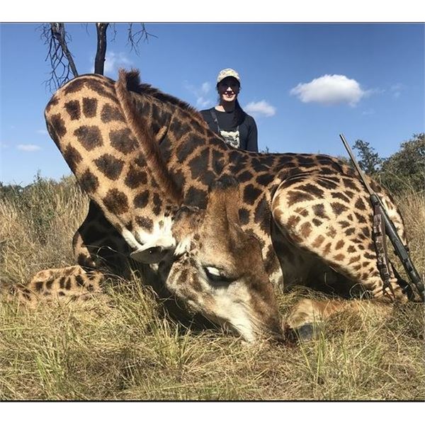 Namibian Damara Dik-Dik and Giraffe Hunt with Wild Namibia Safaris