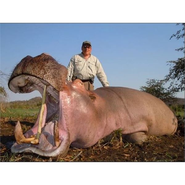 Crocodile and Hippo Hunt in Mozambique for One Hunter