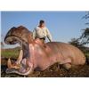 Image 1 : Crocodile and Hippo Hunt in Mozambique for One Hunter