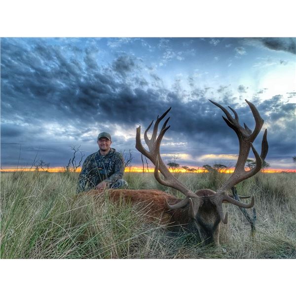Argentinian Bronze Medal Red Stag and Patagonic Ram Hunt for Three Hunters with Catena Safaris