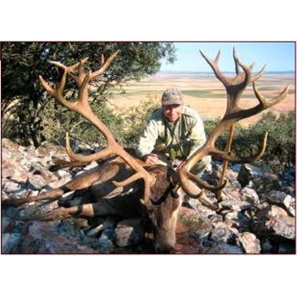 Iberian Red Stag Hunt in Spain with Giuseppe Carrizosa