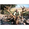 Image 1 : Iberian Red Stag Hunt in Spain with Giuseppe Carrizosa