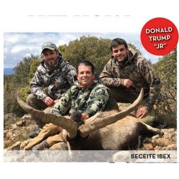 Beceite Ibex Hunt with Wild Hunting Spain