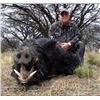 Image 1 : Argentinian Boar/Ram/Goat Hunt for Two Hunters with Anuritay Ranch