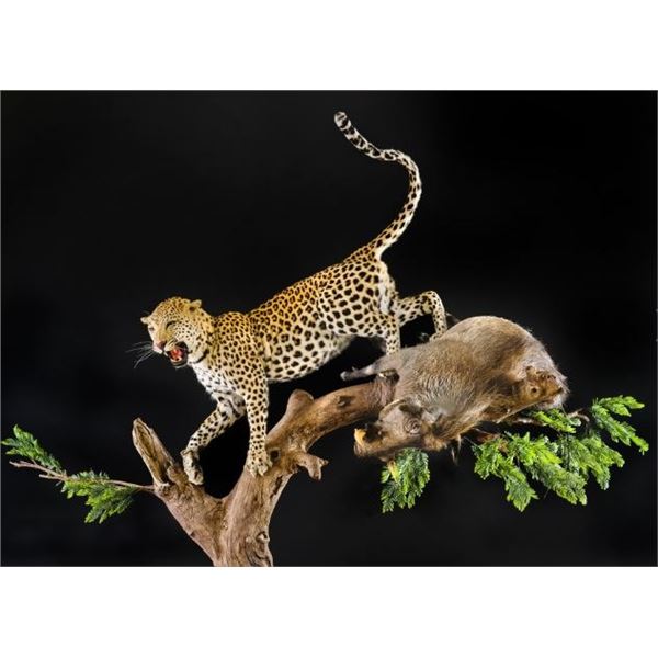 Taxidermy Credit for Life-Size Work from Creative Concepts Taxidermy
