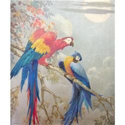 Magnificent French Oil Painting, Tropical Bird #1196134