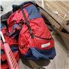Image 2 : 2 HIKING BACKPACKS AND ELECTRIC WEED EATER