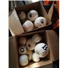 Image 1 : 2 BOXES OF WHITE HALLOWEEN PUMPKIN DECORATIONS