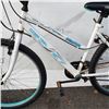 Image 2 : WHITE OZARK TRAIL BIKE