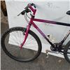 Image 3 : PURPLE GIANT BIKE