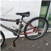 Image 4 : GREY NORCO BIKE