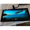 Image 1 : TROPICAL LIGHT UP WALL HANGING