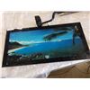Image 2 : TROPICAL LIGHT UP WALL HANGING