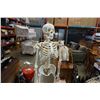 Image 2 : ANNATOMICAL MEDICAL FULL SIZE 6FT SKELETON W/ STAINLESS FLEXIBLE CONNECTIONS - NO STAND