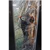 Image 2 : WHAT WAITS BELOW PILEATED WOODPECKER FAMILY LEP BY ANDREW KISS 25331