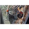 Image 3 : WHAT WAITS BELOW PILEATED WOODPECKER FAMILY LEP BY ANDREW KISS 25331