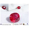 Image 1 : Ruby Vivid Red, unheated, minor flaw, GIA 0.759 ct