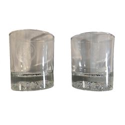 Michael Jackson Neverland Ranch Drinking Glasses