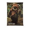 Image 1 : Star Wars: Return of the Jedi (1983) Wicket The Ewok Poster