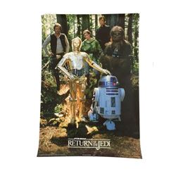 Star Wars: Return of the Jedi (1983) The Team of Endor Poster