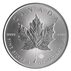 Silver Maple Leaf Bullion Coins