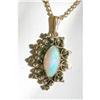 Image 1 : Opal 14K Drop & Chain  #1212404