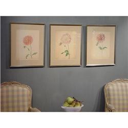 STUNNING Set of 3 Floral BOTANICALS Paintings #1213131