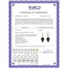 Image 2 : Genuine 24.68 ctw Black Spinel & Diamond Earrings 14KT White Gold - REF-50K5V