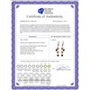 Image 2 : Genuine 4.6 ctw Garnet & Citrine Earrings 14KT Rose Gold - REF-53N4R