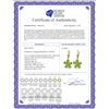 Image 2 : Genuine 4.43 ctw Peridot & Diamond Earrings 14KT Yellow Gold - REF-49W8Y